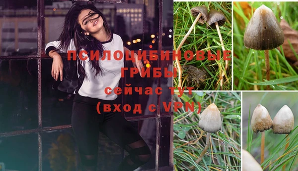 гашишное масло Верея