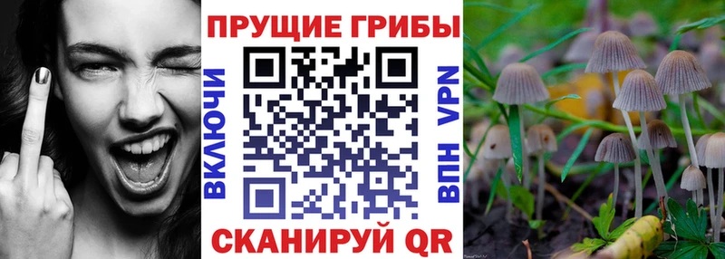 Псилоцибиновые грибы мухоморы  Домодедово 