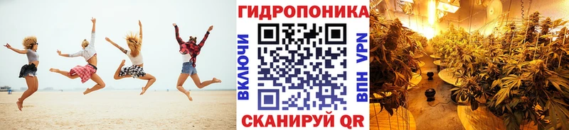 где купить наркоту  Домодедово  Бошки Шишки гибрид 